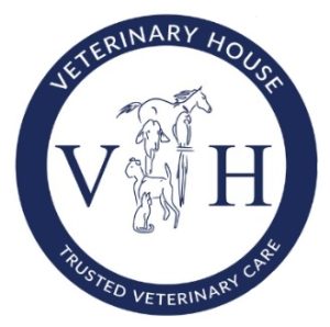 VH logo 1 300x298